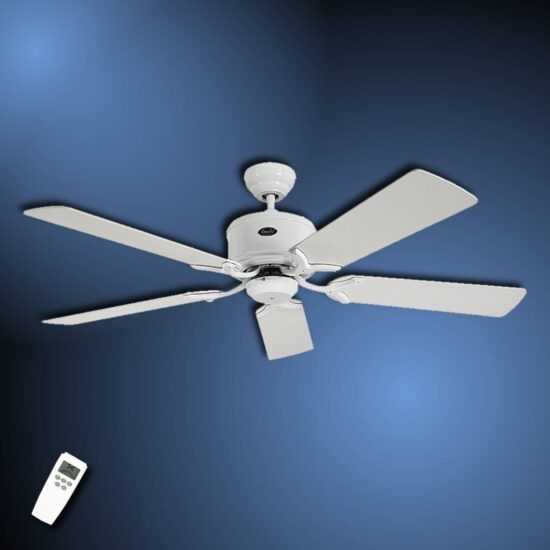CASAFAN 513281