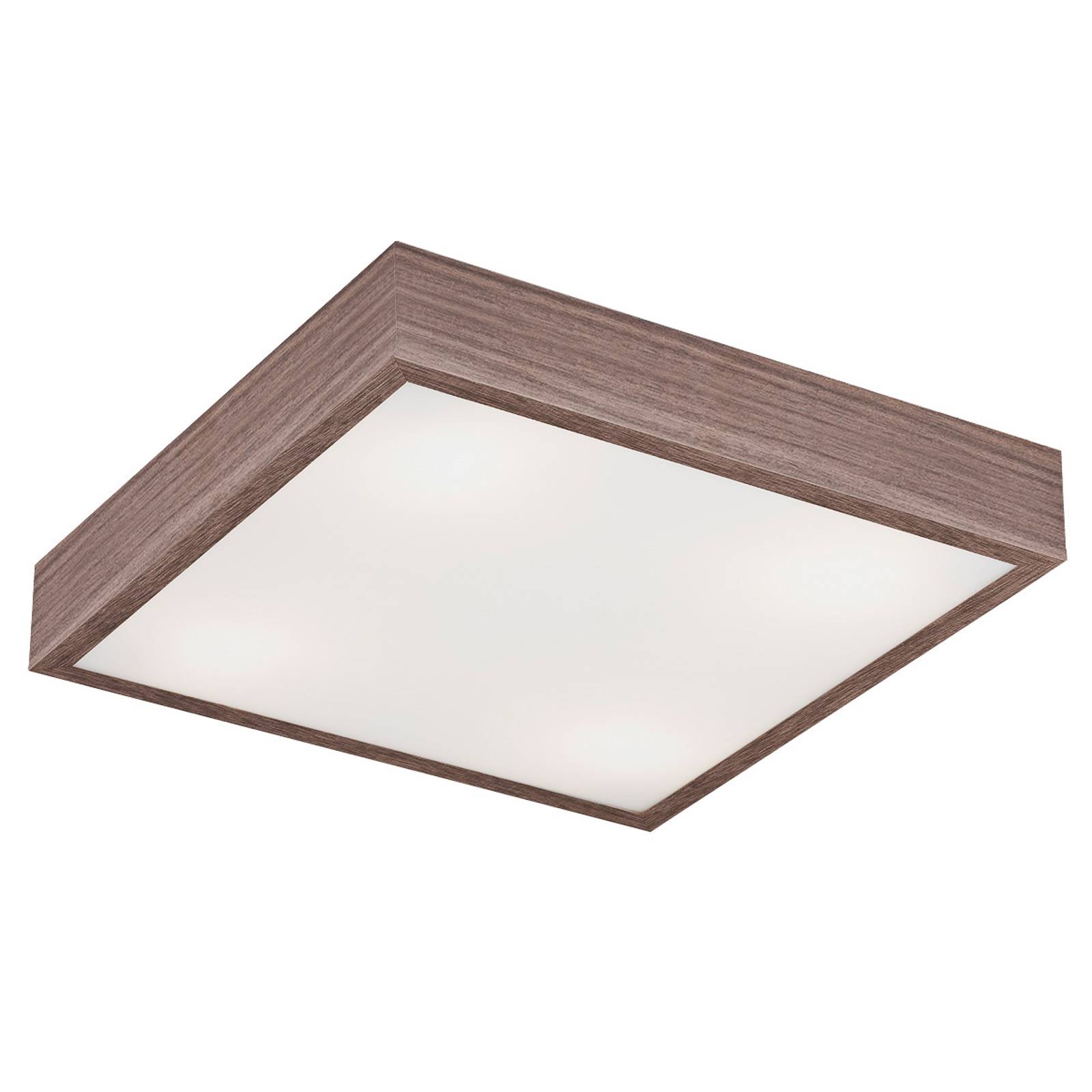 EULUNA Stropní svítidla