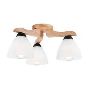 EULUNA Stropn&iacute; sv&iacute;tidla