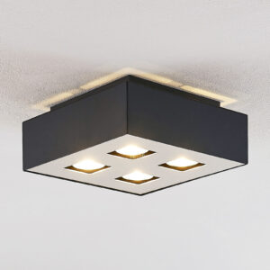 Lindby 8544024 Stropní svítidla