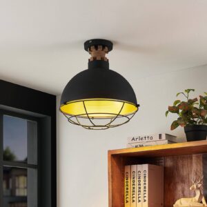 Lindby 9626613 Stropní svítidla