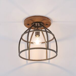 Lindby 9921026 Stropní svítidla