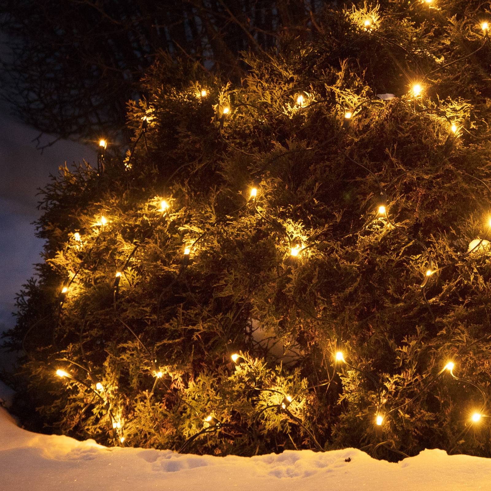 Markslöjd Systém světelných řetězů Chrissline-Combi