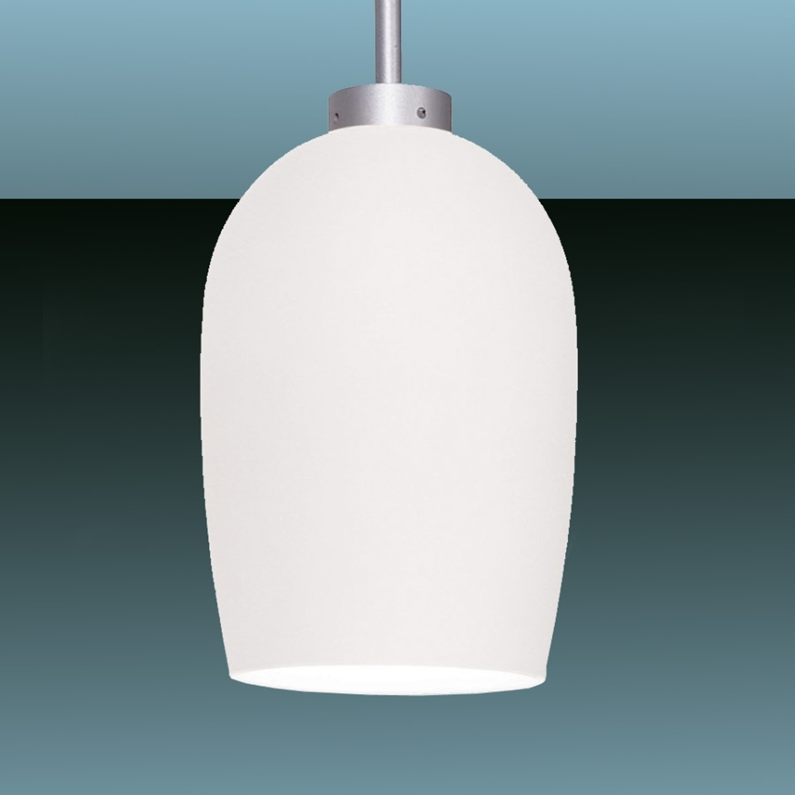 OLIGO 30-991-20-06/21 Oligo Check-In