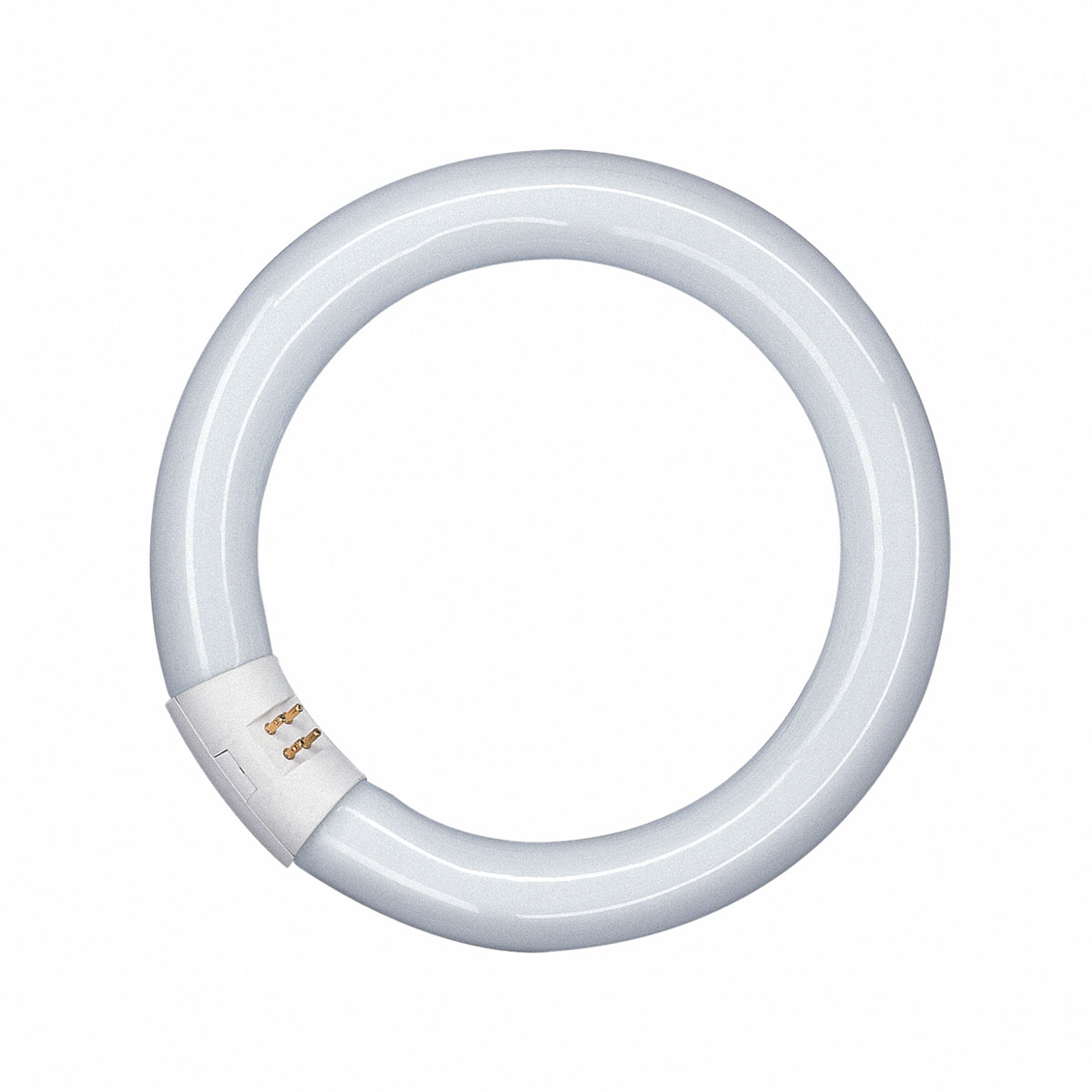 OSRAM L40W/865C Kruhové zářivky