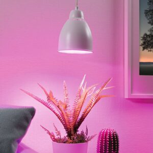 Paulmann Lampy pro rostliny