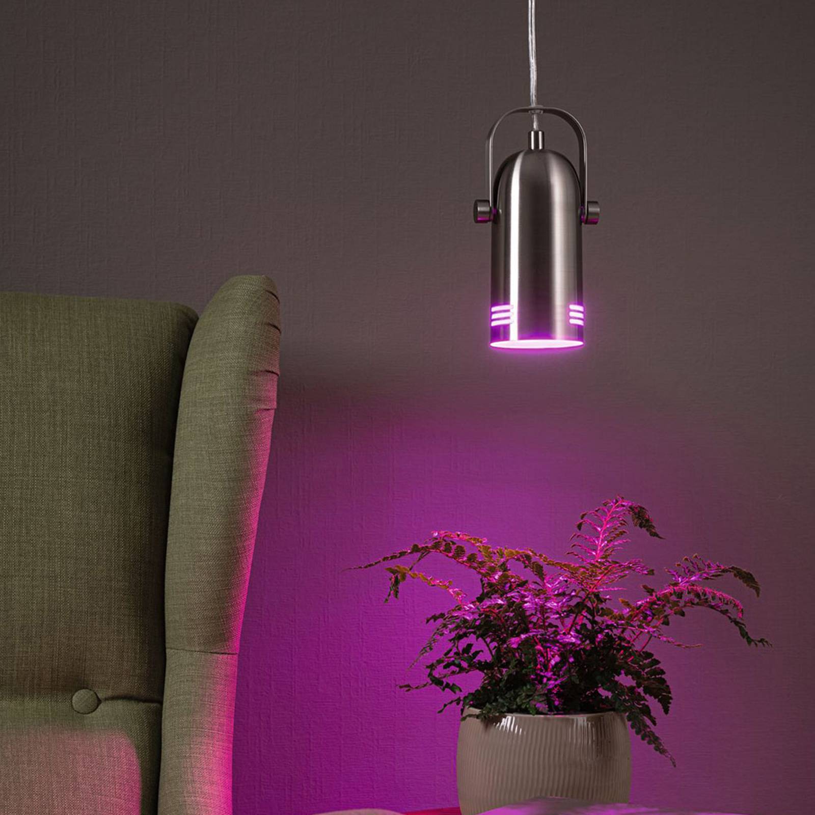 Paulmann Lampy pro rostliny