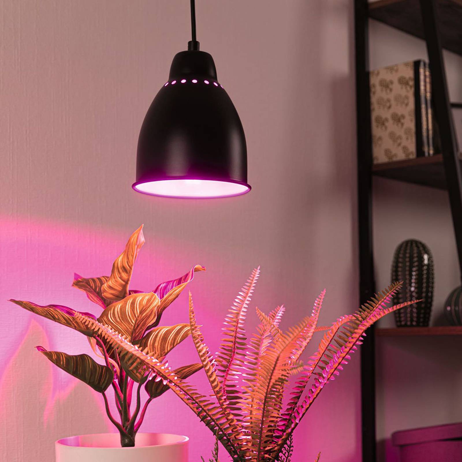 Paulmann Lampy pro rostliny