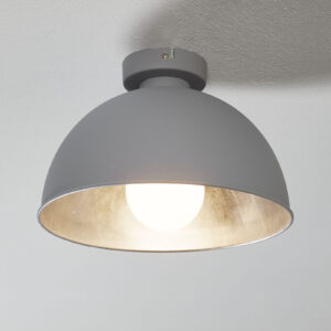 Reality Leuchten R60121087 Stropní svítidla