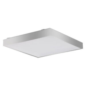 Ridi 0623547SI Stropní svítidla