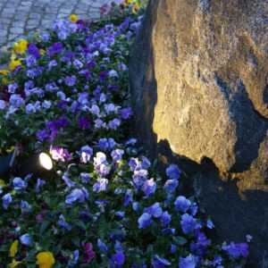 STAR TRADING 481-68 Sol&aacute;rn&iacute; světla