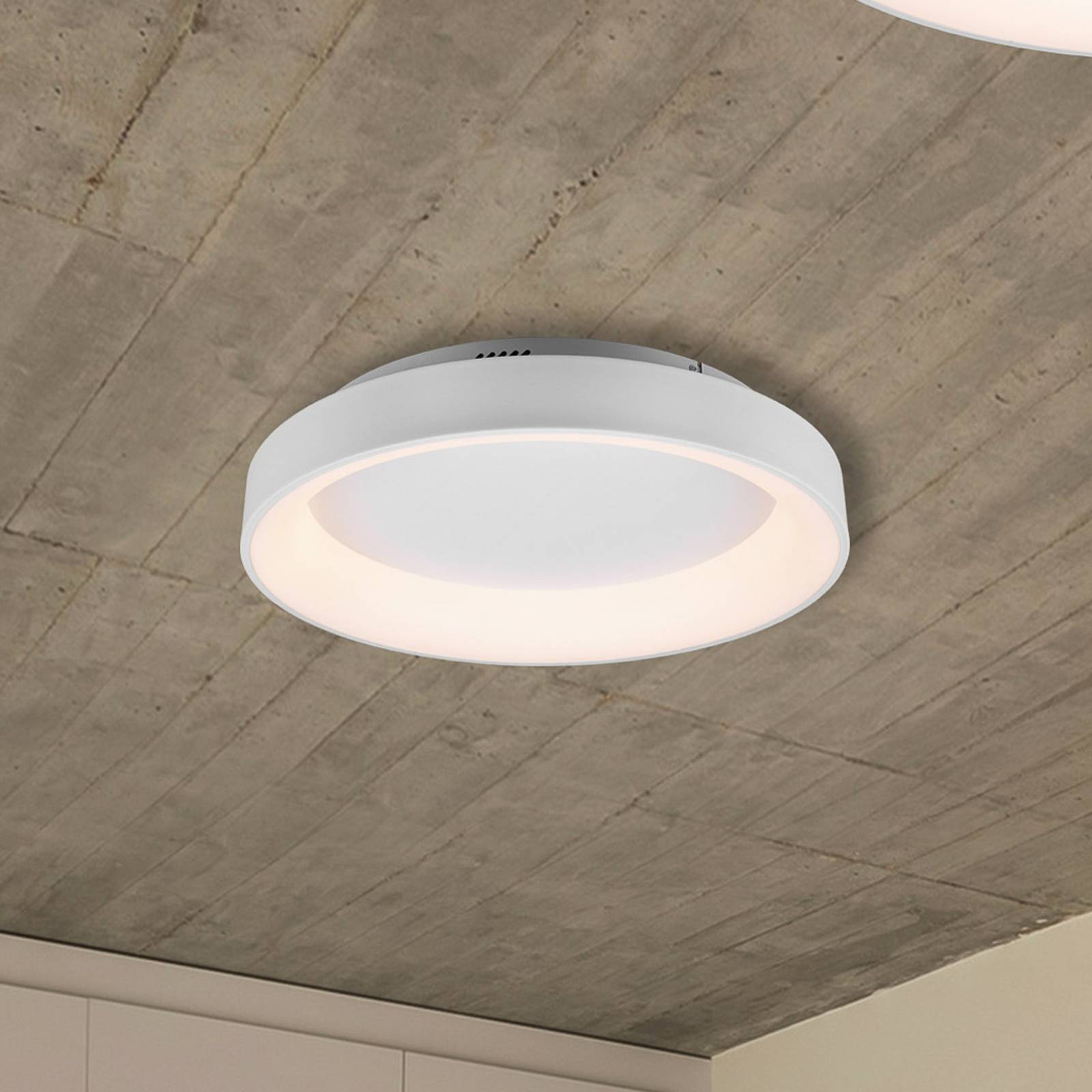 Trio Lighting Stropní svítidla