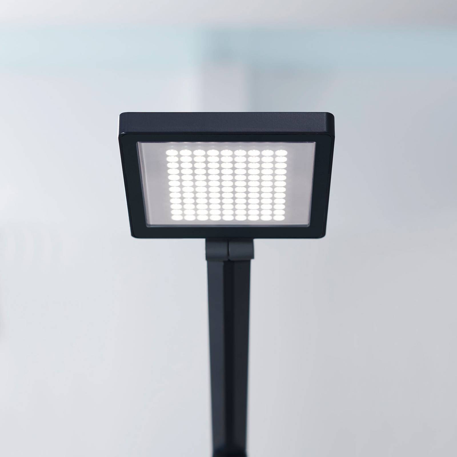 WALDMANN 190209019-00809005 Pracovní lampy stolní