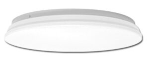 Ecolite LED stropní/nástěnné svítidlo 80W WS003-100/80W/LED